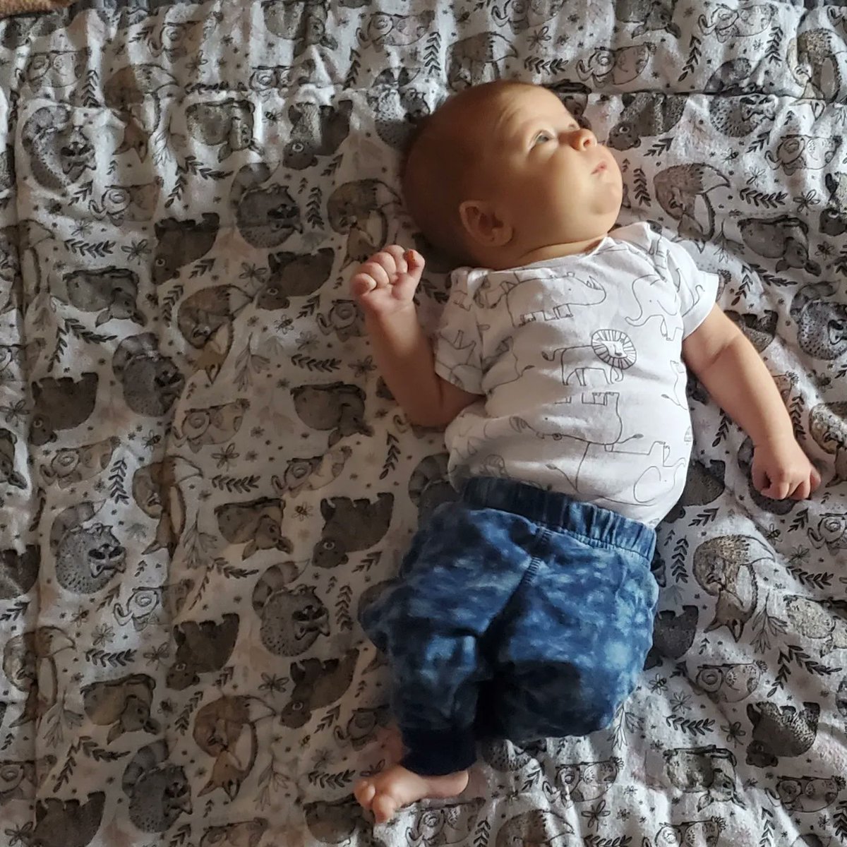NolaNikole's tweet photo. Cheers to 2 TWOrrific months.  
We had our first smiles, our first lengthy baby babble and we rolled over during tummy time! https://t.co/a8tiHc45Sg