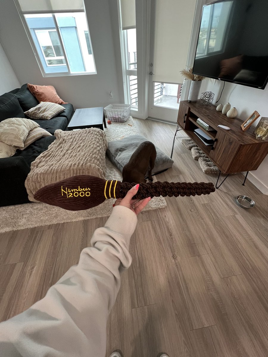 sparkes_94's tweet photo. My dog got a nimbus 2000 toy today 🤣 it’s also really big so she looks crazy playing with it. 10/10 gonna win quidditch though https://t.co/bJsE9dDfRS