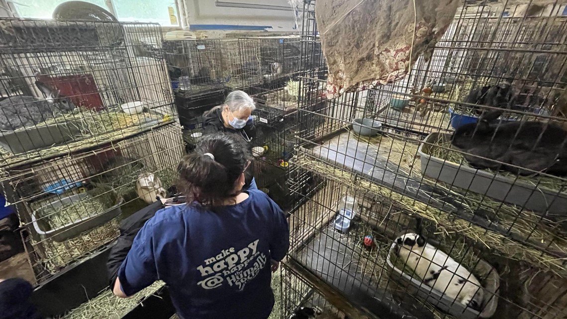 nwnewsradio's tweet photo. What Seattle learned 22 years after the great Nisqually earthquake. #RainierAthletes team approach helps Bellevue elementary school students find a purpose & plan. @TacomaHumane needs people to adopt or foster 250 rabbits. #pugetsoundnow #podcast https://t.co/8sisRb8u0p https://t.co/PoDLWWzo88