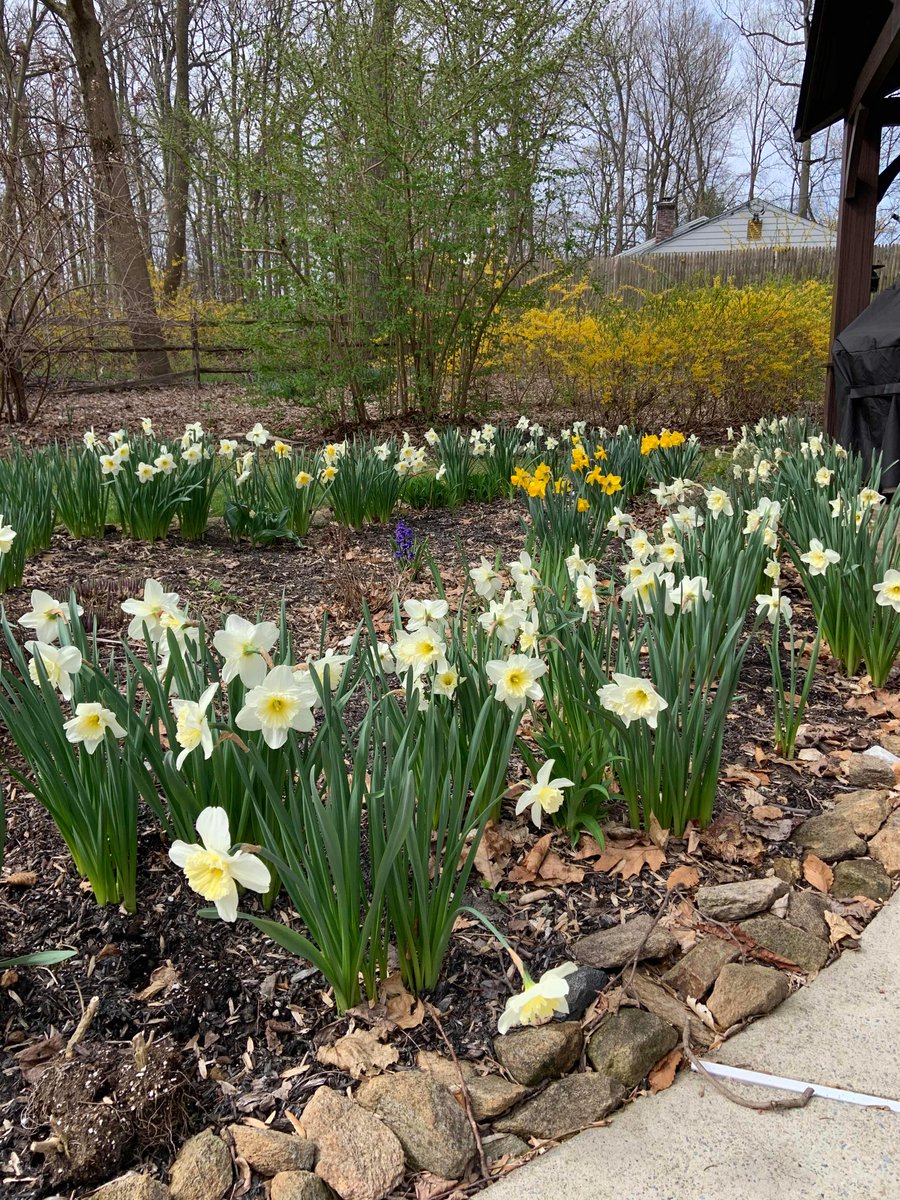 Amberley Felter tweet media