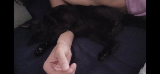 We go from Mortal Kombat to belly up midday cuddle naps. Beans out. https://t.co/u5613ToU4j