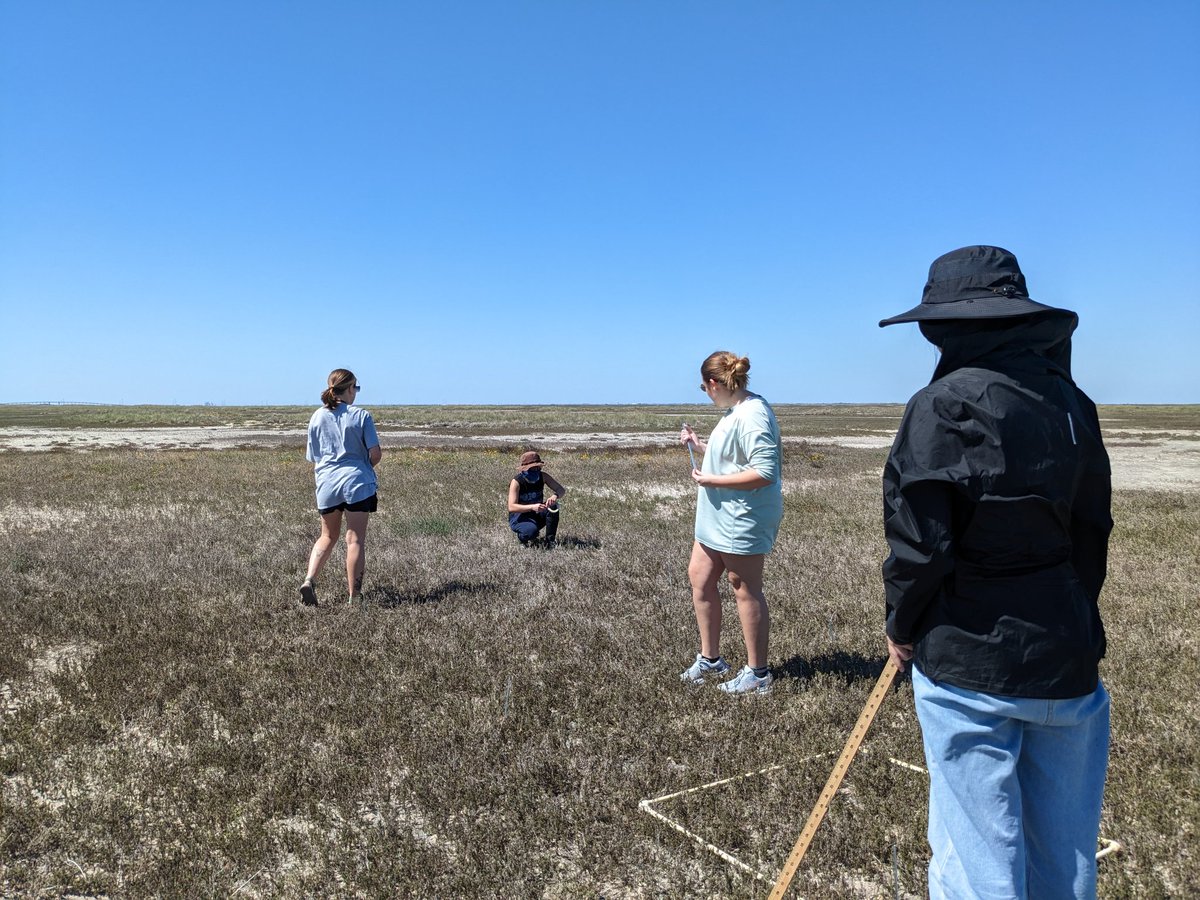 Nice day for a fieldwork in the matsh/dune #Lumibaolab