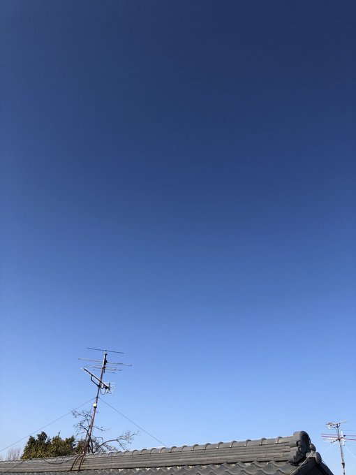 おはようございます☀朝から花粉症の症状で気分⤵︎💦。顔を上げて空を見たら、あいみょんの「空の青さを知る人よ」を、ふと思い