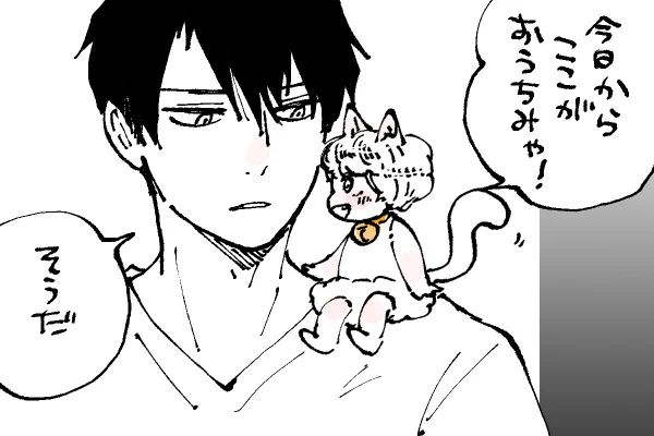 🐱キラキラにゃんこ生活
今日からここで新生活🏡 