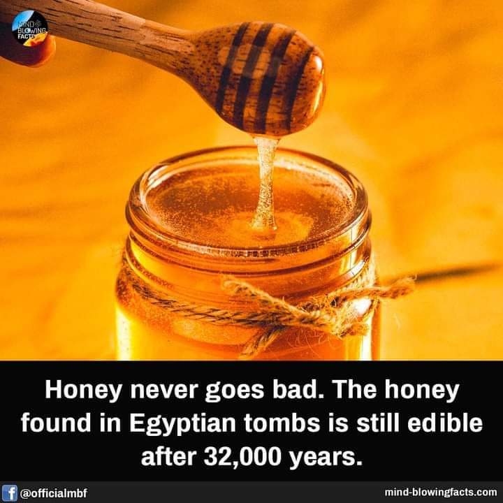 cleorganics_'s tweet photo. Did You Know...? https://t.co/kxfI8dI8mf