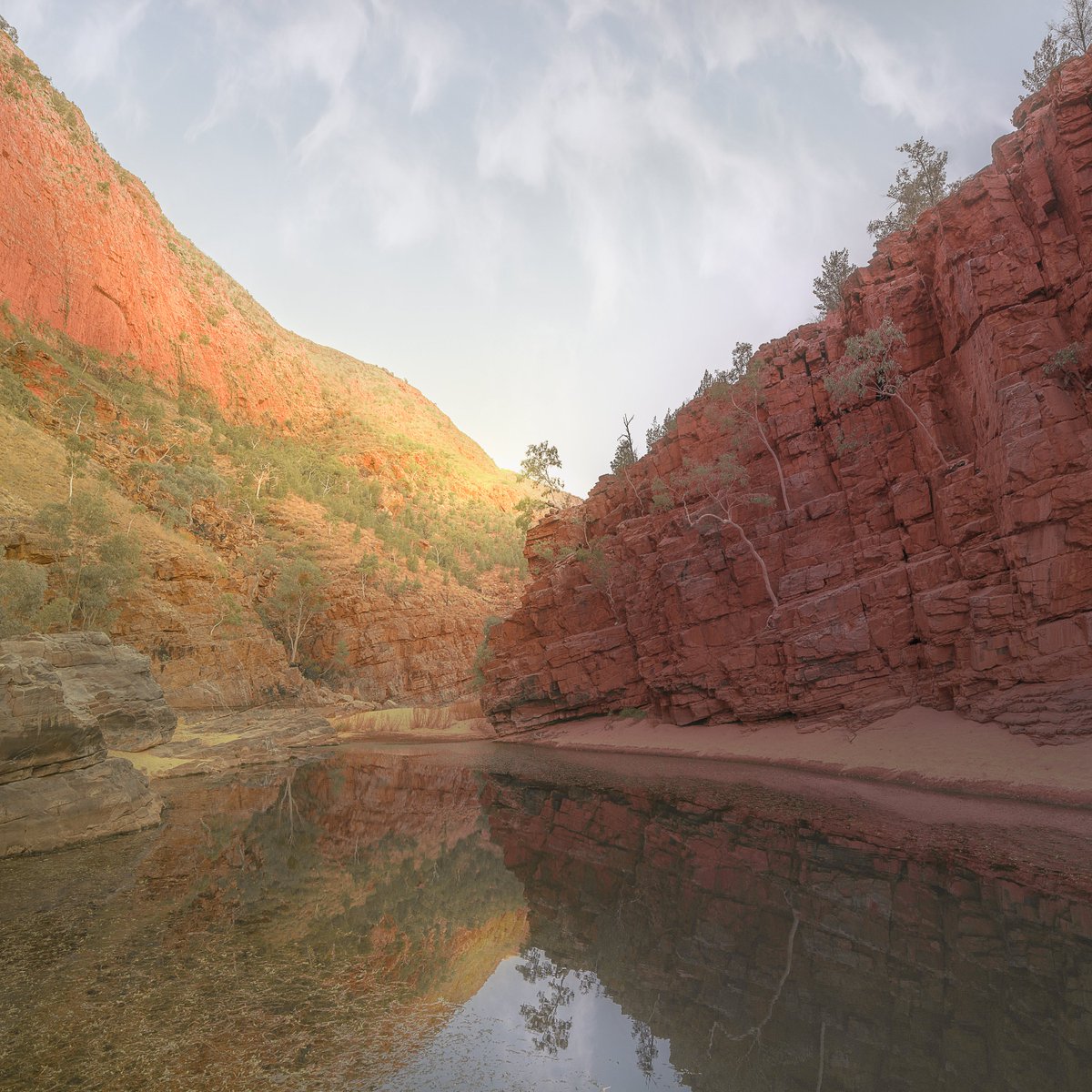 Alter_E_Artist's tweet photo. I'm bringing you those warm soft loving hugs from your favorite auntie kinda vibes.

That warm fuzziness is exactly how Ormiston Gorge feels to me 🧡❤️🧡

Win this 1/1 NFT

How?

- Be following @Alter_E_Artist ✅
- Like this photo ✅

Bonus chances for Comments + ReTweets ✅

🍀 https://t.co/O0M5K5HsSi