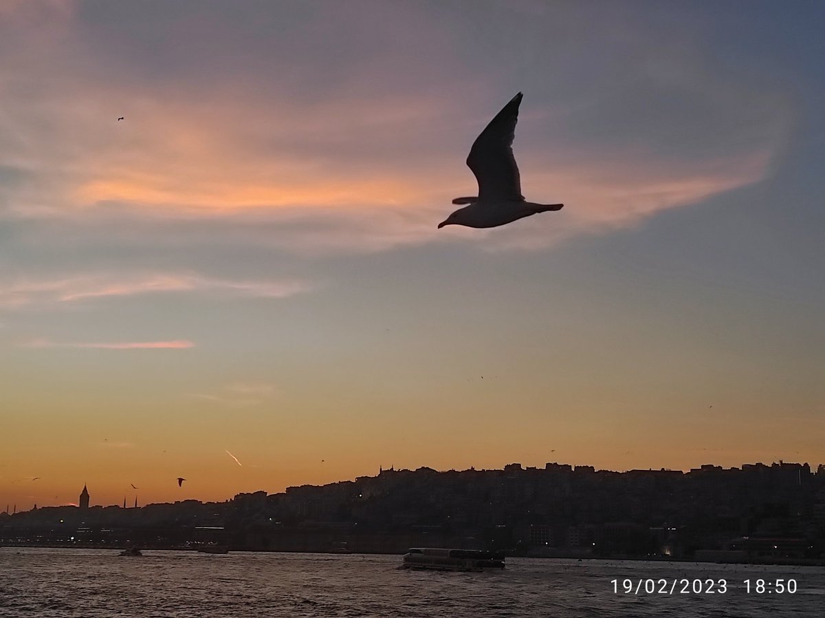 bulent2777's tweet photo. @siradisifoto https://t.co/dpQxgGxoOK
