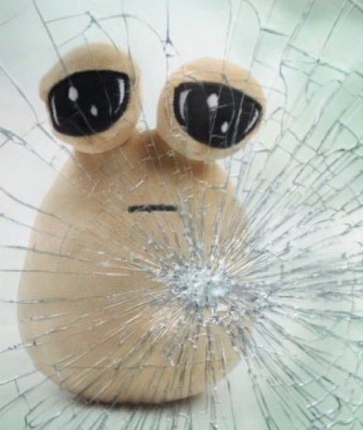 reactions on X: sad pou behind shattered glass  / X