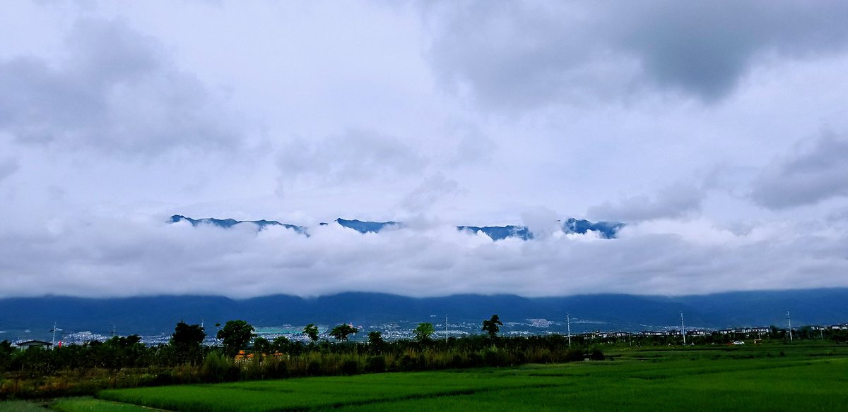 The sun is warm,and you are very sweet in my heart!