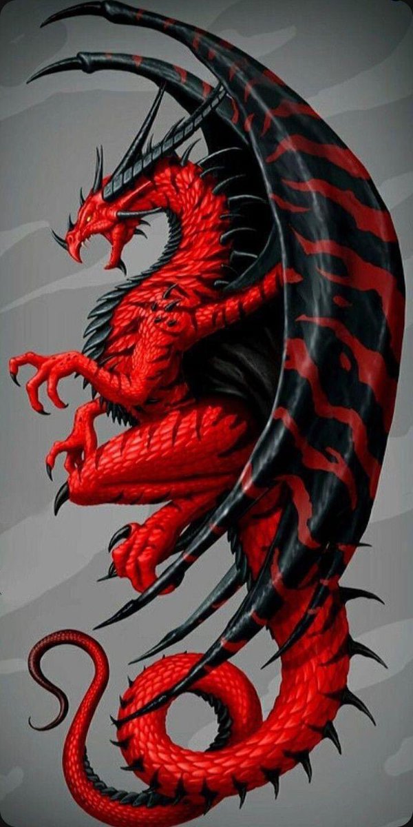 AnnHolly133's tweet photo. Dragon https://t.co/uwHElldlBM