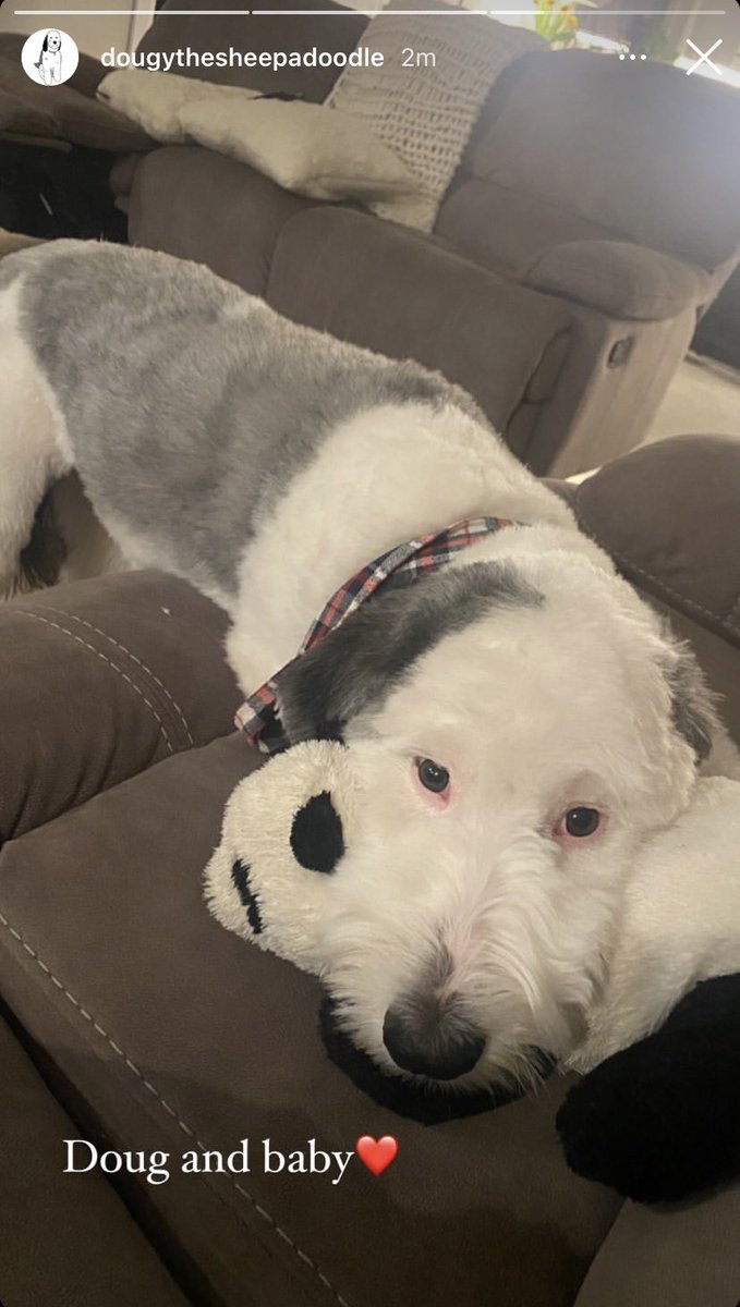 onepcnug's tweet image. these fursuits are getting too good