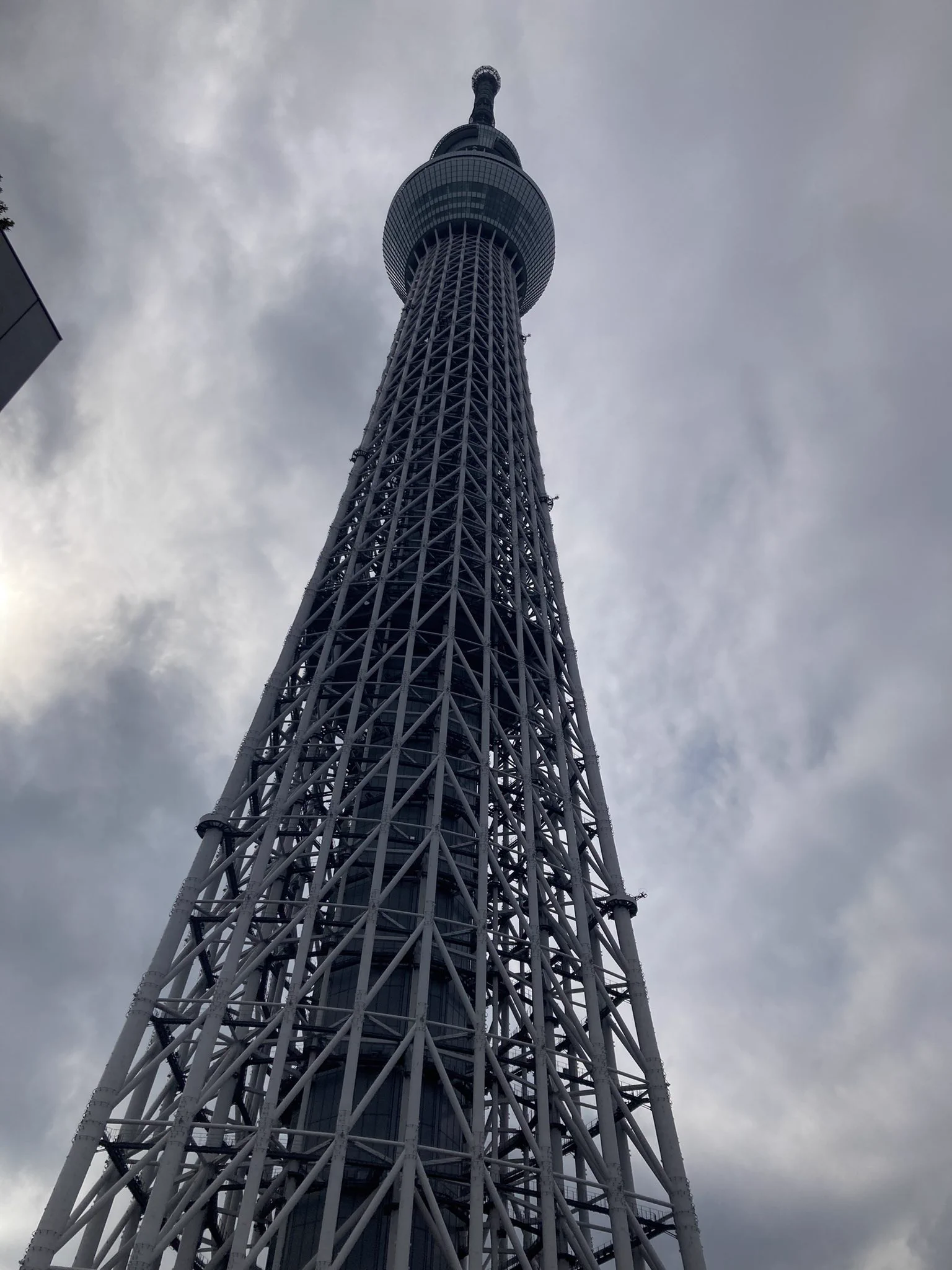 昨日、正にこの光景を見た。
男の子のがどこ？どこ？！って何回も言ってて、お母さんがそこ、上よ、ここから上見て！って何回も言ってた。
ま、私も見上げ過ぎて、なんかもう高さがどんくらい高いのがわからんくなった。もう少し離れた所からも見たかったな。笑  