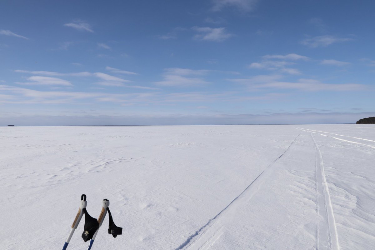 Olemme talvilomalla 6.-10.3.2023.

Norssin väki toivottaa virkistävää lomaa!
@unioulutts <a href="/UniOulu/">University of Oulu</a> #enorssi <a href="/onkoulu/">Oulun normaalikoulu</a>