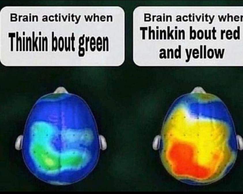 𝕃𝕦𝕔𝕒𝕧𝕚 🐱 tweet media