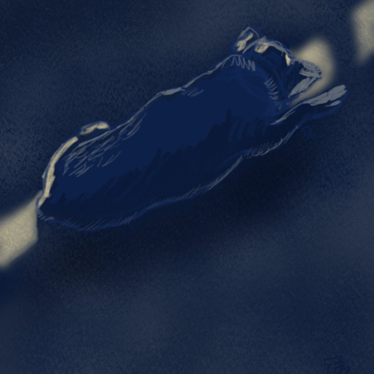 DudeTurnip's tweet photo. Sketch of my dog taking a nap in the sun ☀️ 💜 https://t.co/tB2vSL9D5C
