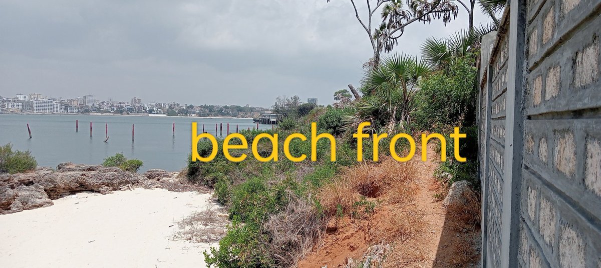 MuneeJoseph's tweet photo. Beach plot for sale ( Mkomani Nyali Mombasa)
Contact 0721310298 https://t.co/Vu47YBLUFQ