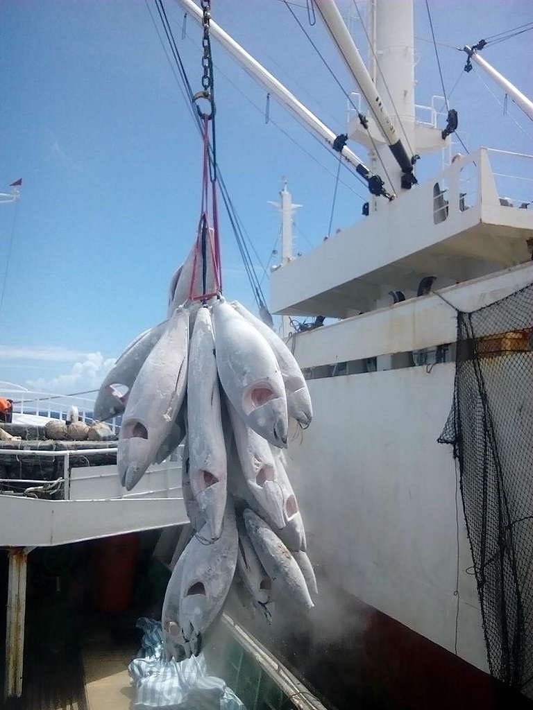 TaiwanSpecial's tweet photo. While the the world celebrates the historic #UNOcean Treaty ratified yesterday, #Taiwan, is not a party. This is important because Taiwan is the world's 2nd largest high seas fishing nation, operating over a third of the longline vessels in the Western and Central Pacific Ocean https://t.co/lJpiRjRdsl