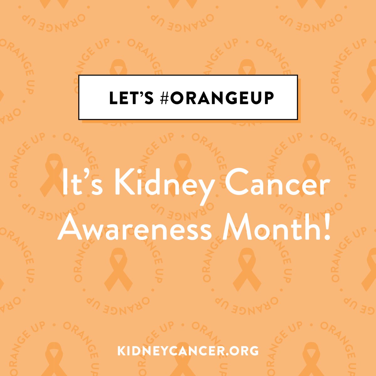 To all those living with, impacted by, or treating kidney cancer… this is the time to share your stories. 

#orangeup
#KidneyCancerAwarenessMonth