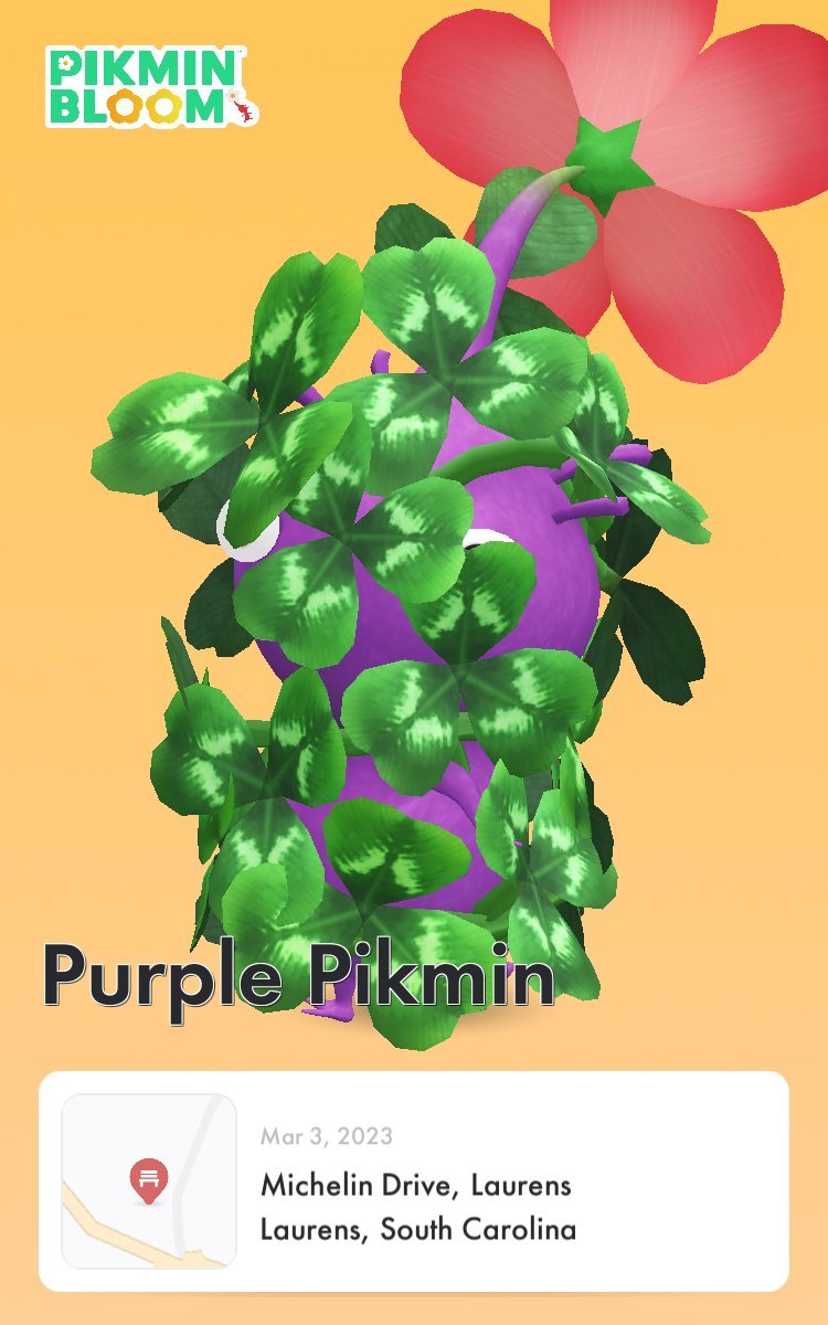 GoldDreams's tweet image. #PikminBloom #100kChallenge #StPatricksDayEvent