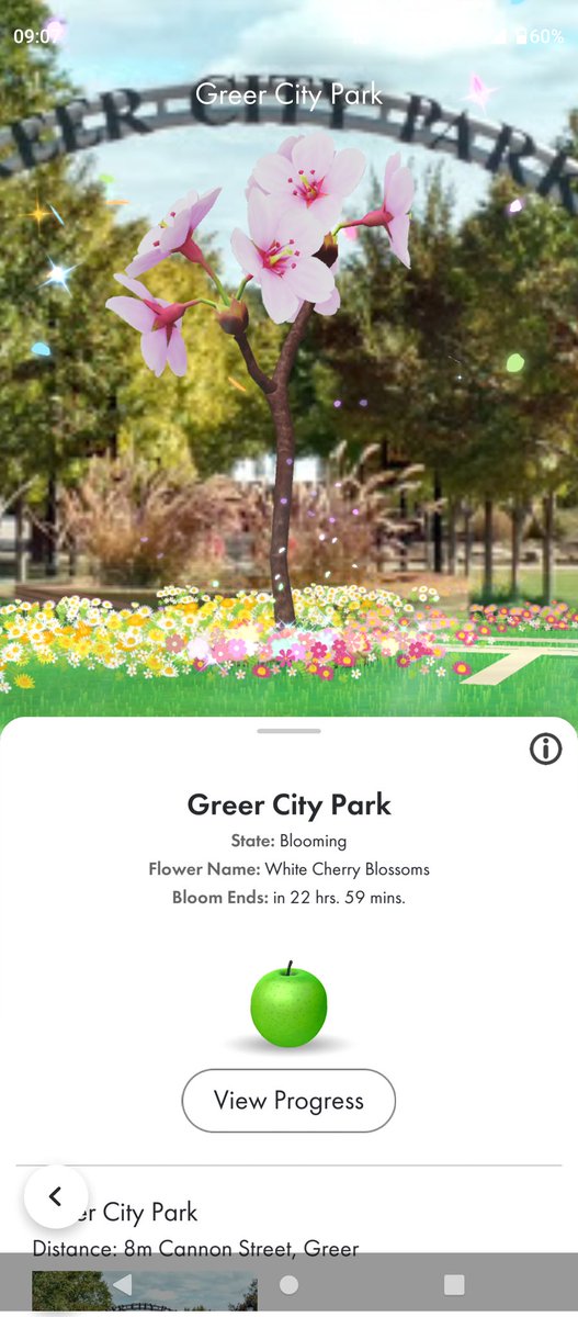 GoldDreams's tweet image. #PikminBloom #100kChallenge #StPatricksDayEvent