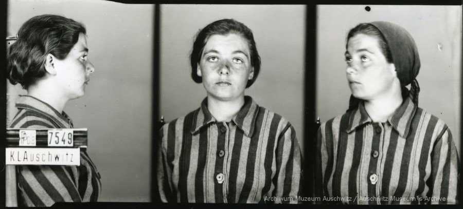 Auschwitz Memorial tweet media
