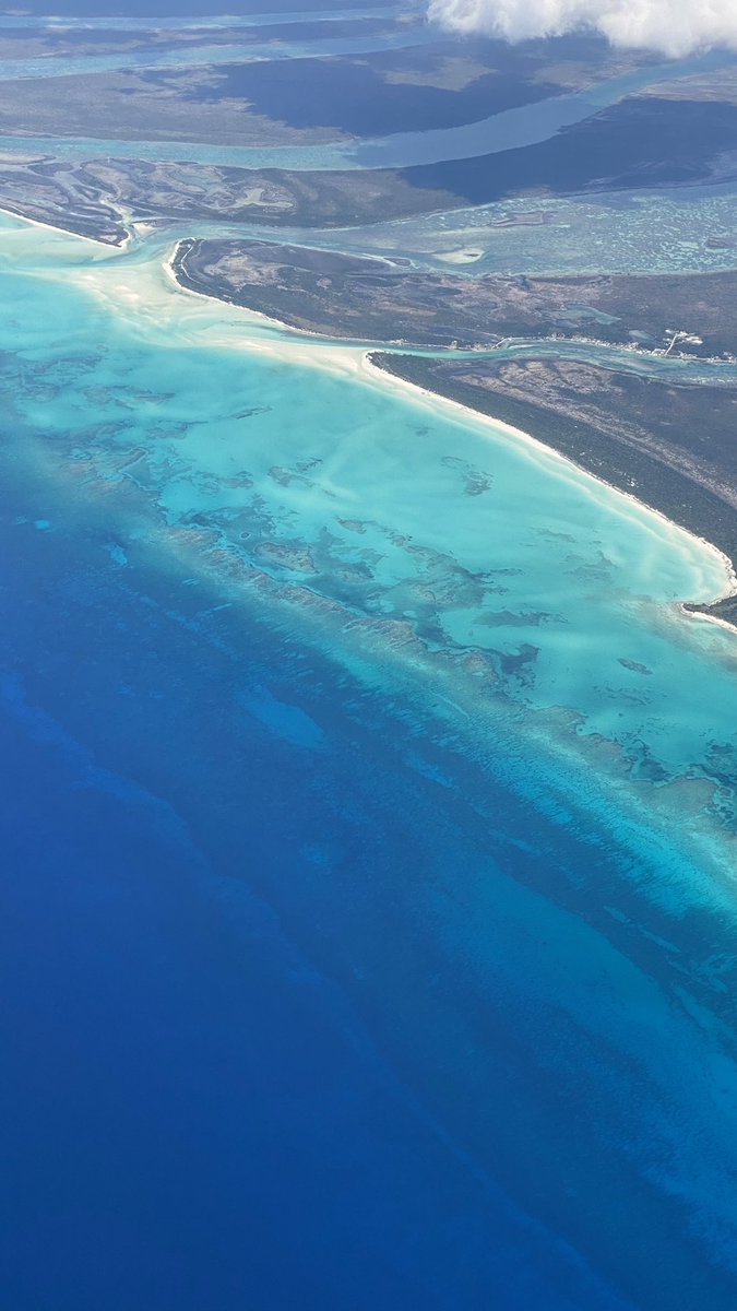 Dan Piraino tweet media