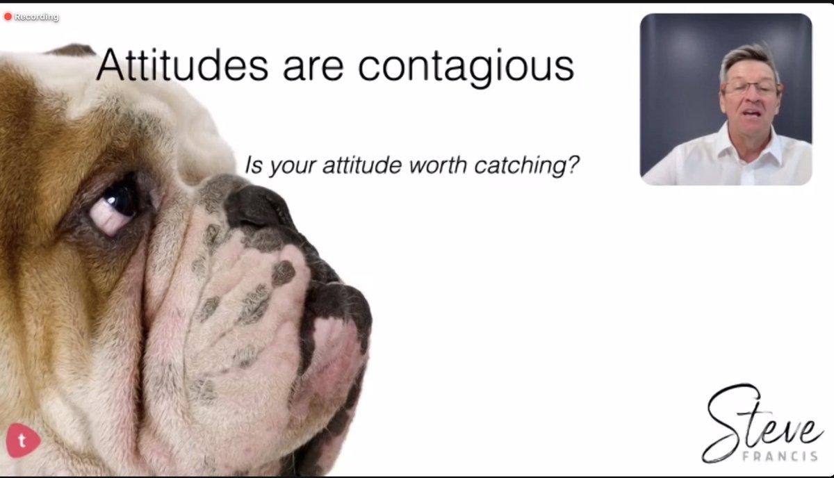 Inga Bela tweet media