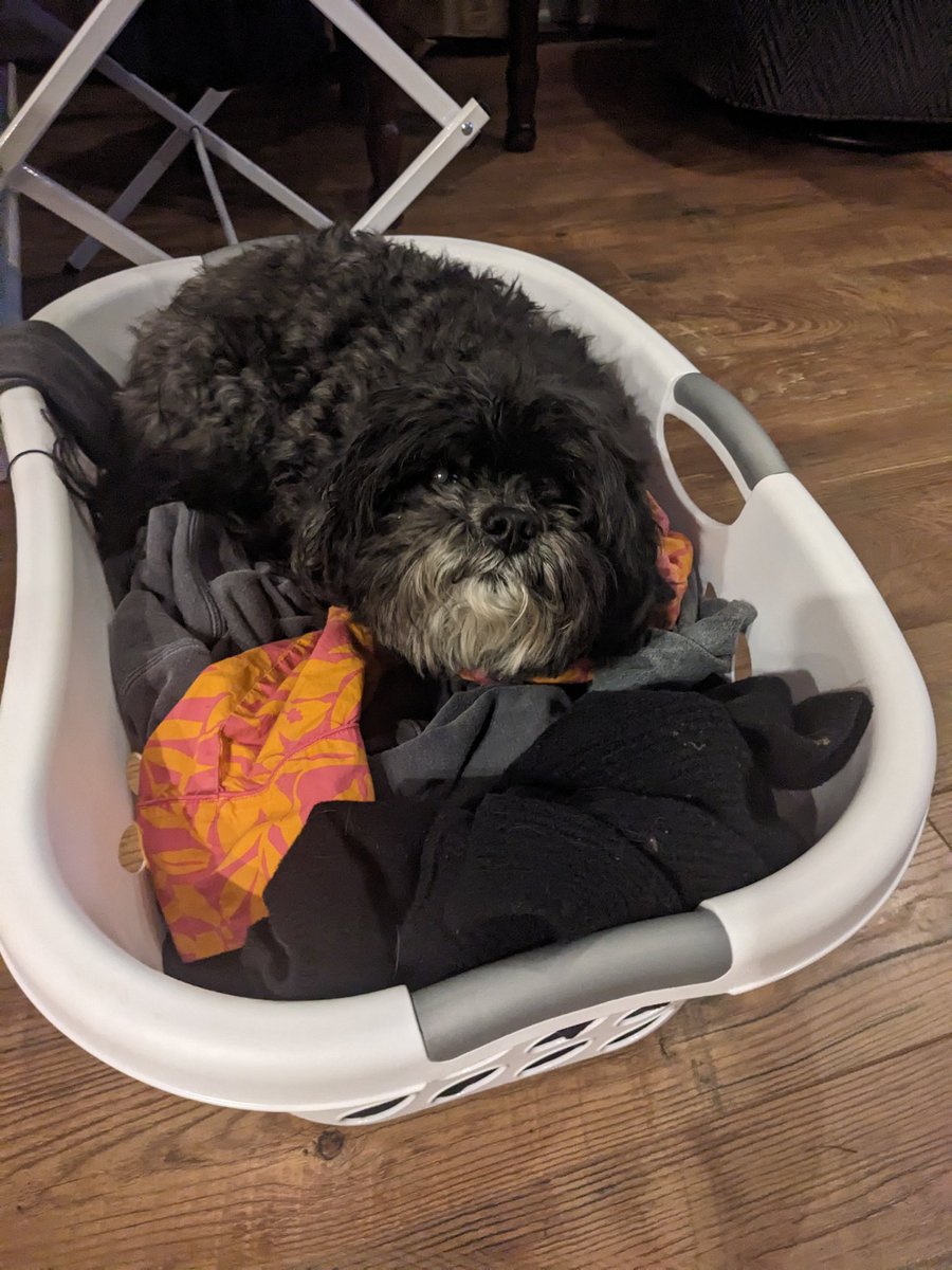 Chest Rockwell tweet media