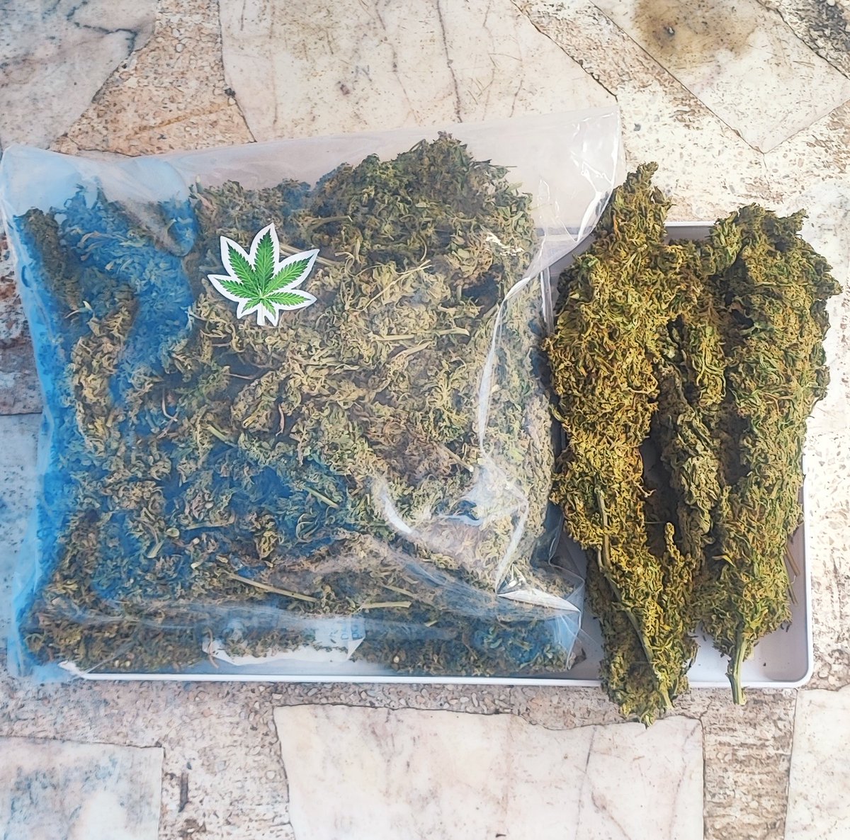 Uniprotra's tweet image. ช่อดอกกรีนแคร๊ก
50   กรัม   350  บาท
100 กรัม   700  บาท
#กัญชา #กัญชาออแกนิค #กัญชาราคาถูก  #กัญชาราคาส่ง