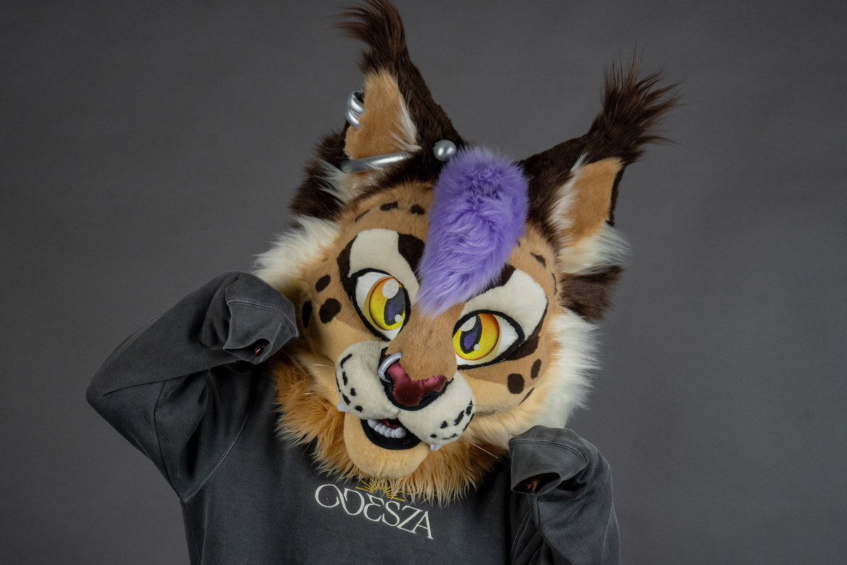KinggPepper's tweet photo. Finished fursuit head commission: KOTORO https://t.co/xHgKQBuply