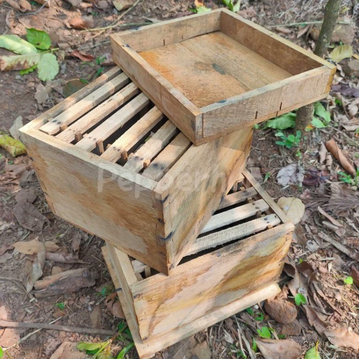 hubpepper's tweet photo. Pepperhub's bee keeping box consist of
The wooden Bee keeping box contains 4 parts such as Lower platform(1), Square side Cover (2), Top Cover(1) and Inner partitions (12).
Buy online
https://t.co/gm5HmbvNyu
#pepperhub #beekepershoney #beekeeping #beekeepinglife #farming https://t.co/yaCVYV5cIt