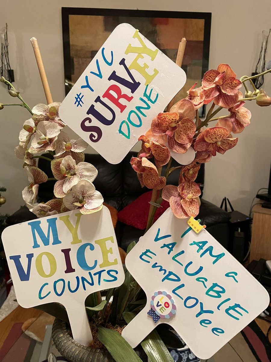 ronsjvill's tweet photo. #YVC #swags are set for tomorrow’s launching. @MSMStuy6Rehab & @MSMDialysis teams are ready to knock this off!#employeeengagement #survey #creativity #homecraft @mcrsinanan @TylerGegen @MSMorningside @kellyanne1654 @BethOliverVP @MountSinaiNYC @KathleenPDory2 @MichelleDunnRN https://t.co/fT9B62X2TX