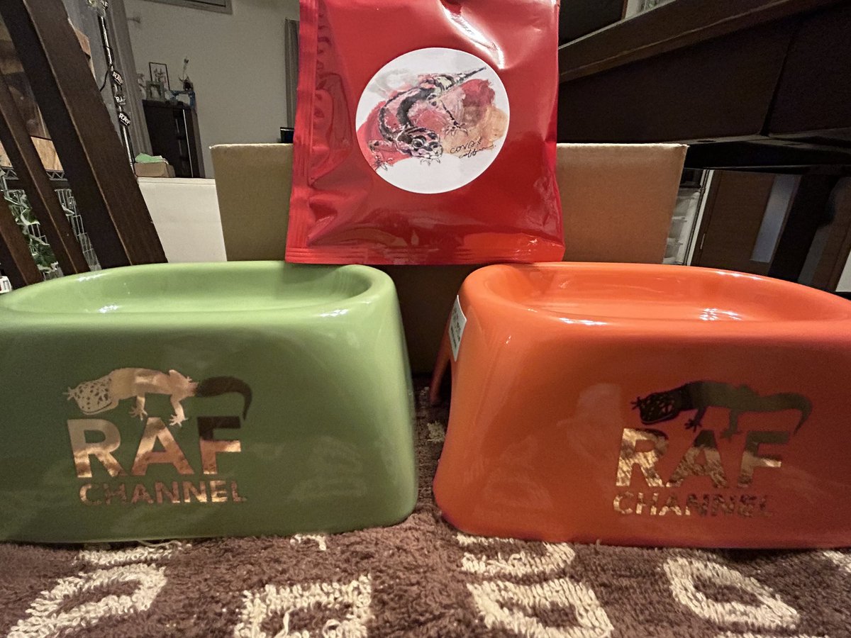 ishelter_aiSUru_hokkaido (@IshelterH) / Posts / X