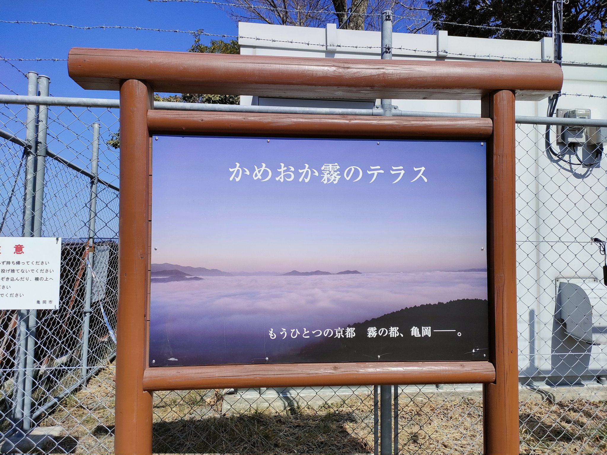 亀岡市八木町の梅林で人形に孤独つて素敵とつぶやく人-