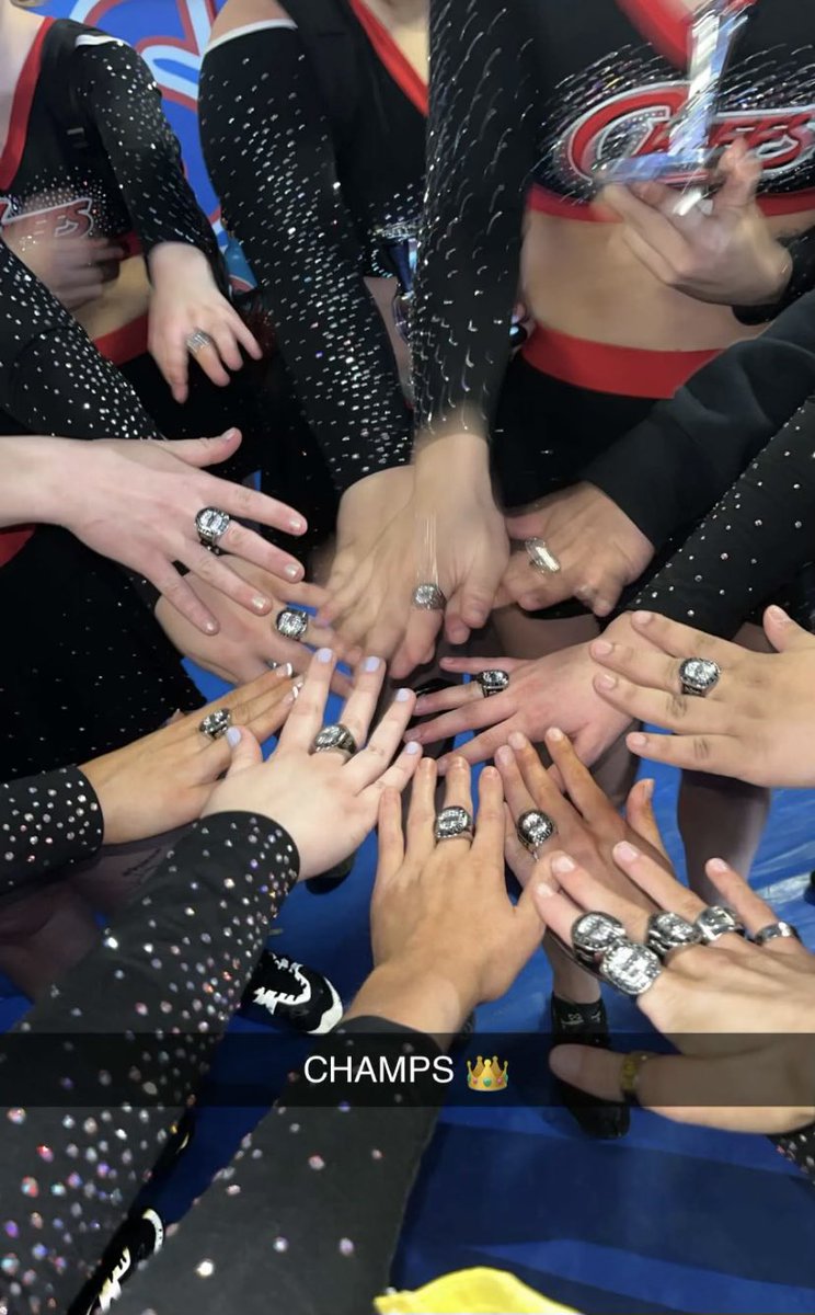 Waubonsee Community College Cheerleading tweet media