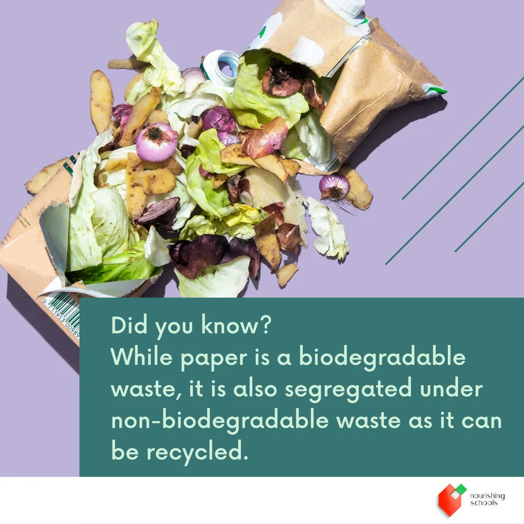 nourishing_sch's tweet image. By properly segregating our #PaperWaste and #recycling it, we can reduce the amount of waste that ends up in landfills and conserve natural resources while also helping save energy and reduce the need for new materials used in the paper-making process.#sustainability