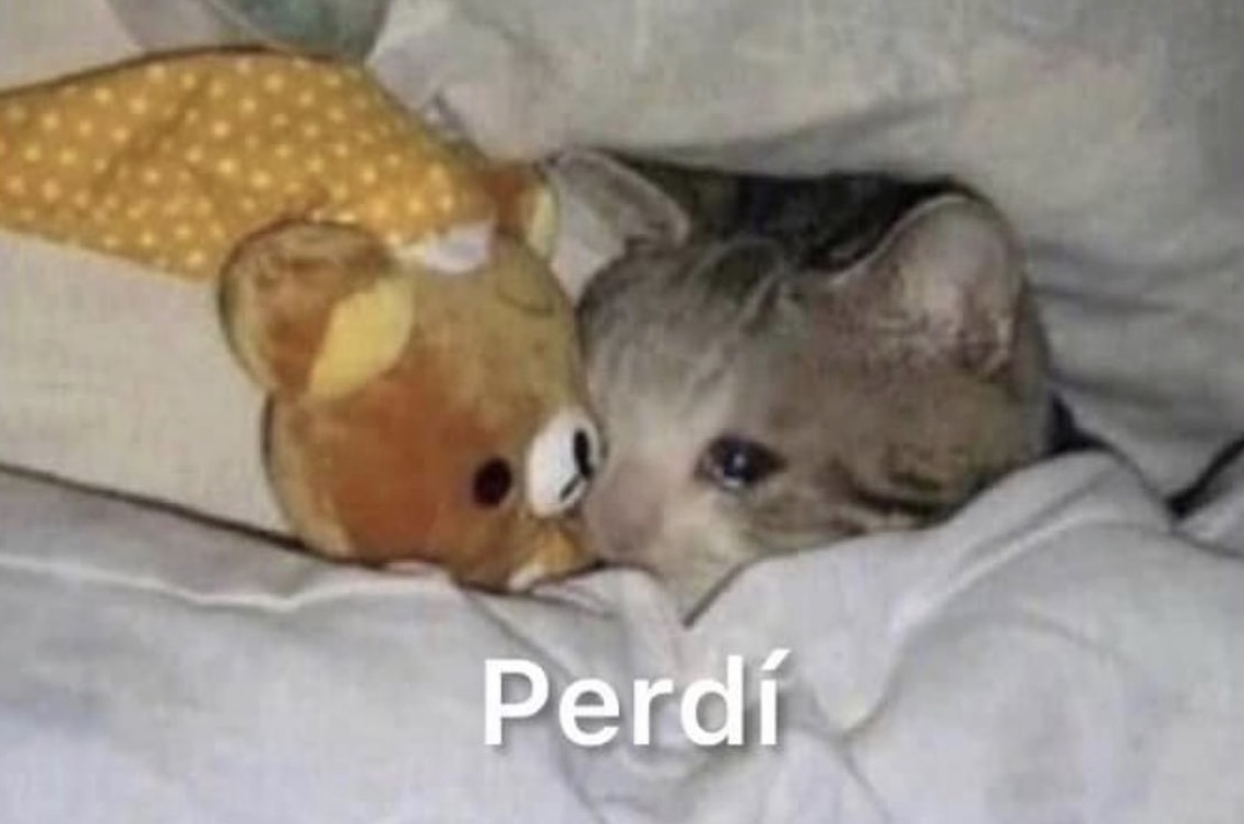 “El que se enamora pierde”

Yo 3 días después: