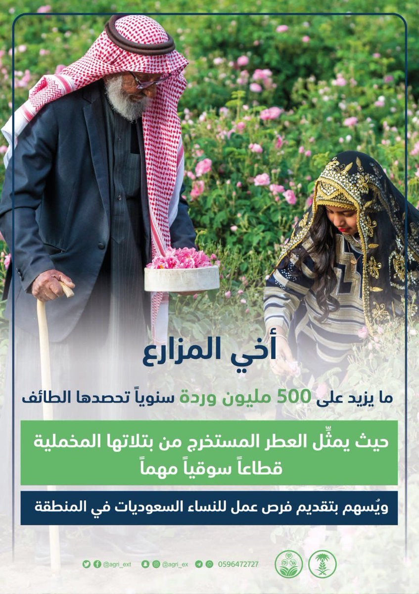 #الورد_الطائفي
#روزيار
#ارامكو