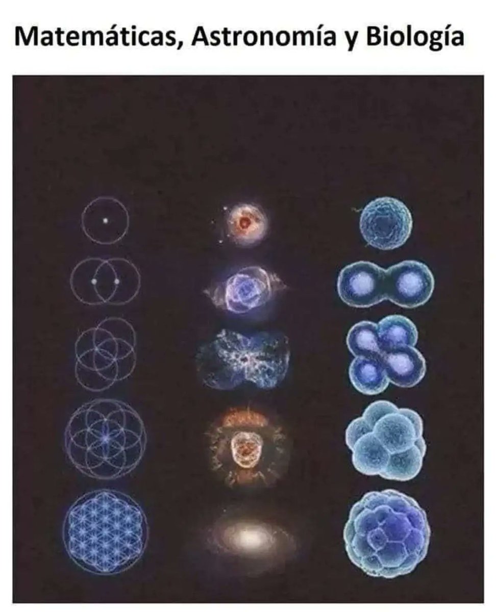 MsCiencia2's tweet image. Ciencia maravillosa