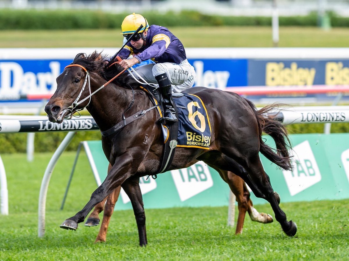 HawkesRacing's tweet photo. Brutal ⚡️⚡️⚡️ #G1winner #DoncasterHcp #G2winner #PremiereStks #weightforage #fullflight #crackingsort @NewgateFarm https://t.co/N0rW3A1yk6