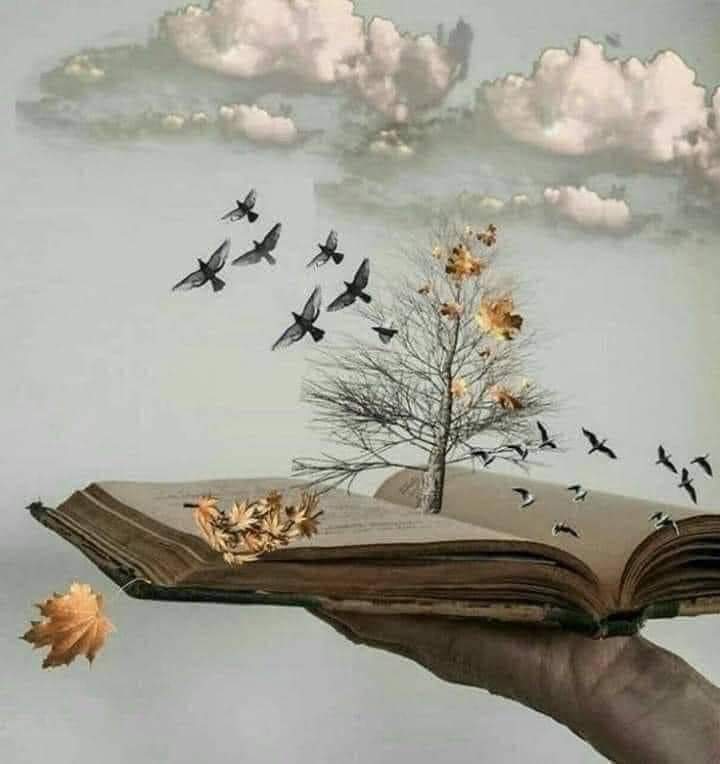 " الأذواق ليست متساوية، فأحدهم يراك شيئاً عادياً، والآخر يراك مصدر سعادته."
صباح السعادة ♥️🌹♥️

#صباح_الخير_والسعاده