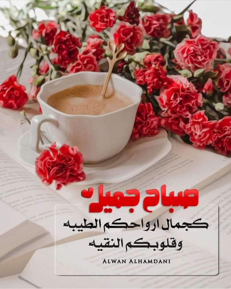 تبقى أجمل أمانينا ...🕊️🕊️

 أن نكون دومًا في مأمنِ
أن تغفو اعيننا  دون  أرق
أن نكتب حروفُنا دون خوف
أن نُحب من يستحق و يُحبنا هو أكثر 
و أن ننسى من خذلنا دون أن نتألم لفراقه 

و ألا تبردُ الأشياء الصادقةُ 
         من القلوبِ و لا تَغيب أبدا 🧡🥀

#صباح_الخير_والسعاده