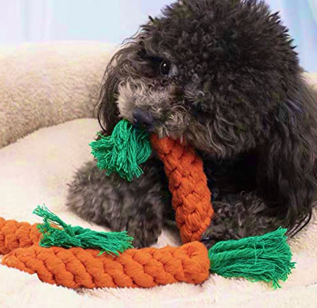 Carrot rope toy. Follow us, share us and visit us. We deliver thru #DoorDash #toysfordogs #toysforpets