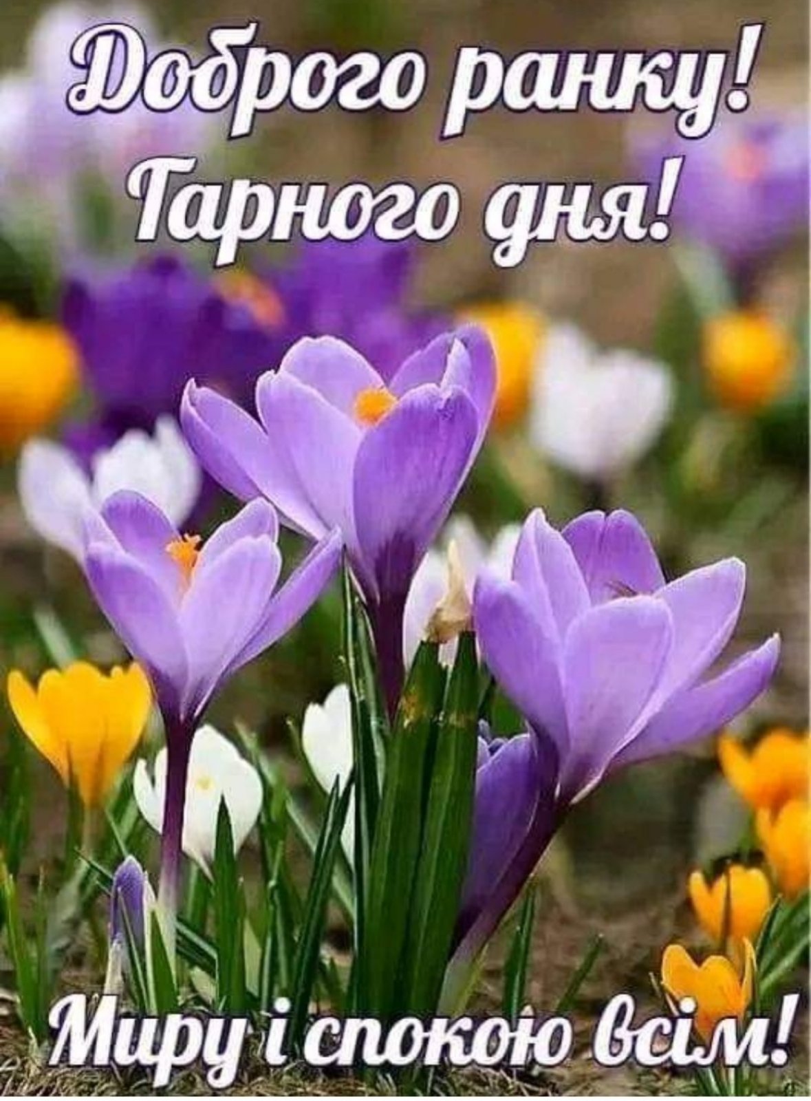 Весна цветы
