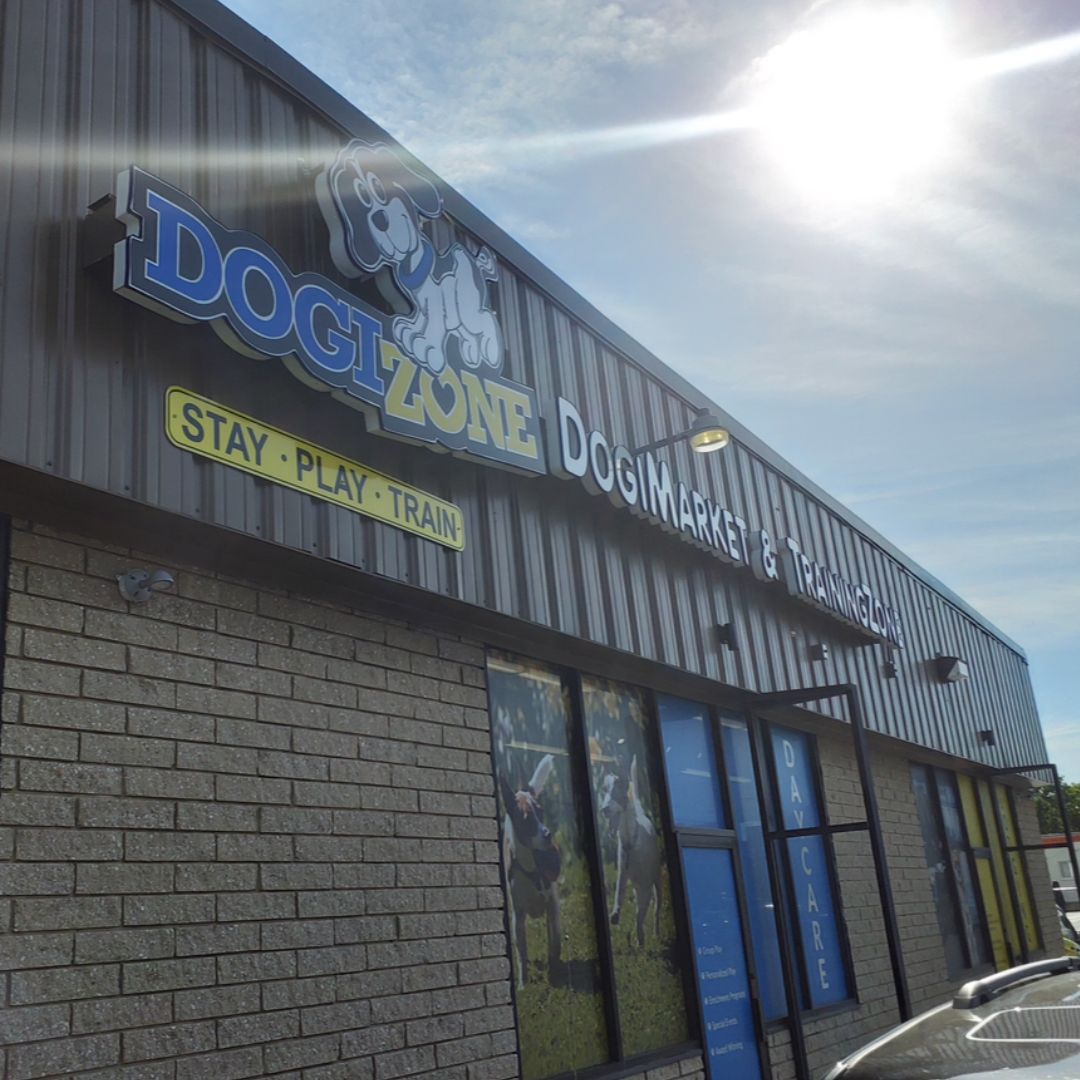Come and explore - take a guided tour of our #Rockville facility to learn about each and every service we offer🤗!

#DogiZone #Rockville #Maryland #MontgomeryCounty #dog #dogs #dogdaycare #dogboarding #doggrooming #dogtraining #DogiMarket #dogtransport #doglove #doglife