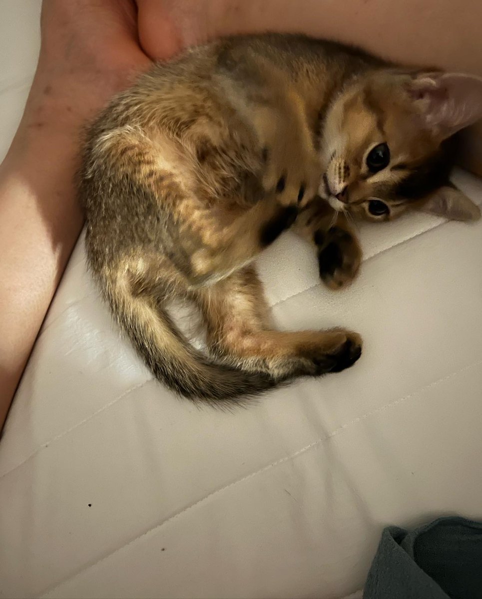 BengaLuana's tweet image. 😘love you huh