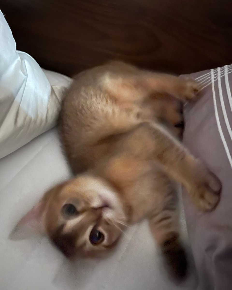 BengaLuana's tweet image. 😘love you huh