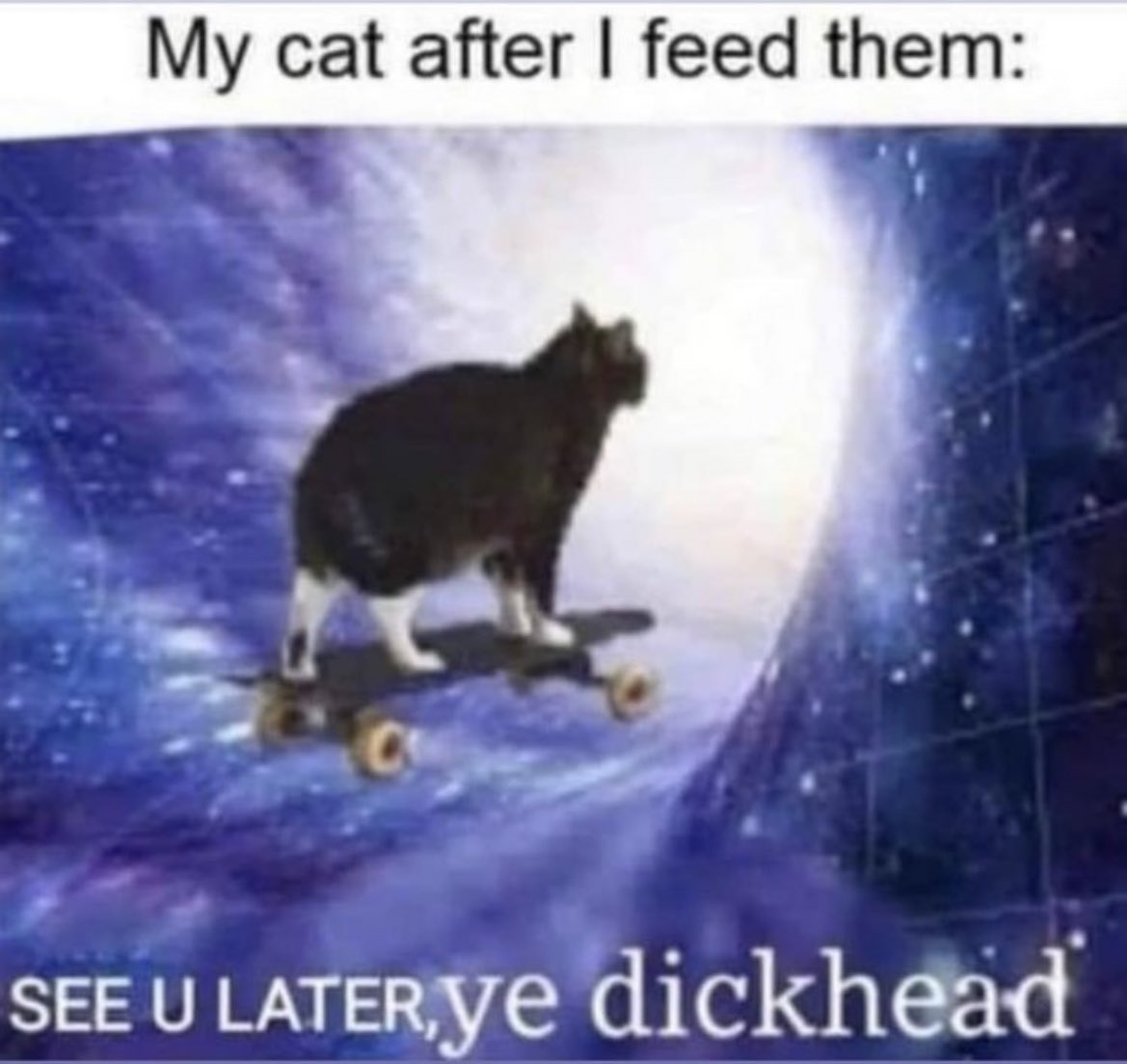 Next piece inspired by evil cat memes 👀