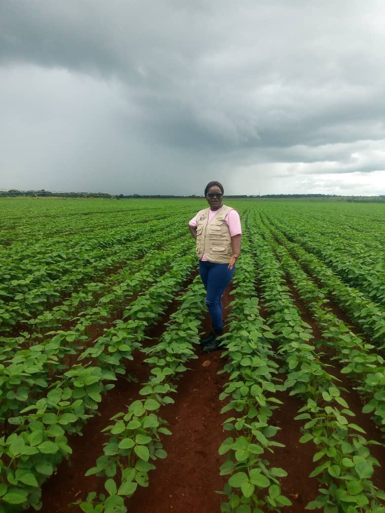 Maintaining those farm visits, scouting for pests and diseases plus making sure the fields are free from weeds do help to retain your contact with your crops. Let’s not leave yields in the fields.
Farming is all about love and passion.
Cc: <a href="/SeedcoMalawi/">Seed Co Malawi</a> 
#ItStartsWithTheRightSeed