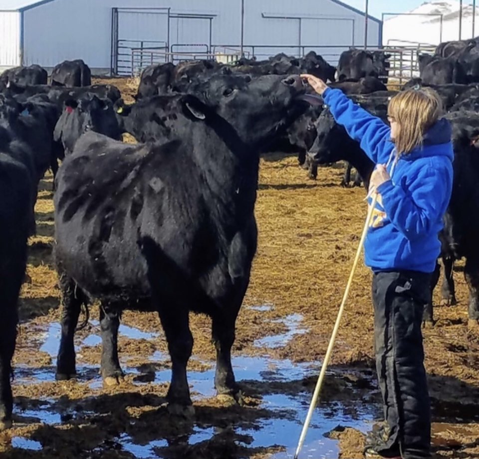 KsBru62's tweet image. MAY-I love cows
JUNE-I love cows
JULY-I love cows
AUG-I love cows
SEPT-I love cows 
OCT-We need more cows
NOV-We sure have a lot of cows
DECEMBER-Who bought those cows
JANUARY-We have too many cows
FEBRUARY-Stupid cows
MARCH-I hate cows
APRIL-I hate cows
😁🤪🤣